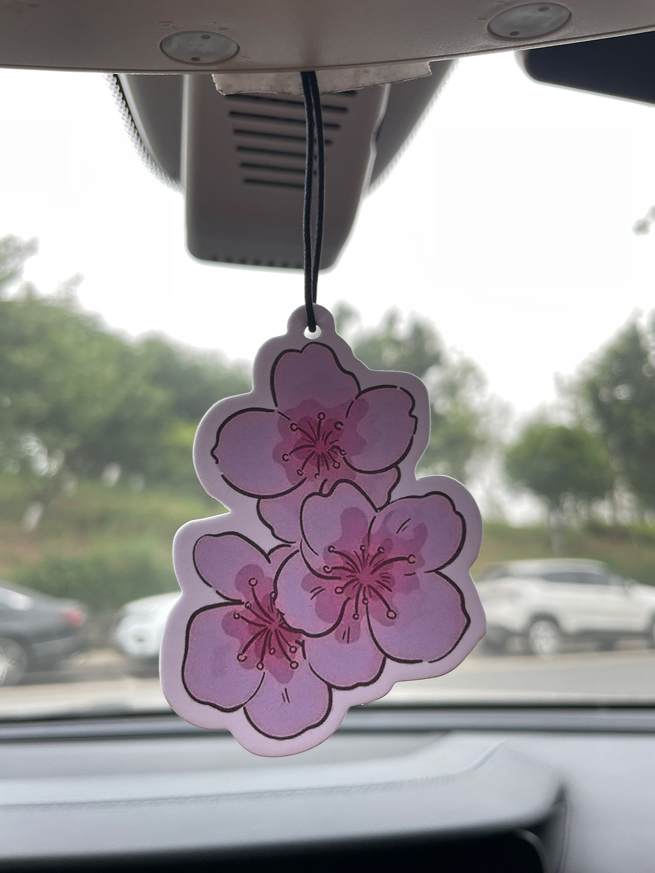 น้ำหอมปรับอากาศในรถยนต์กลิ่นซา - Home Fragrance Best บทวิจารณ์และราคา