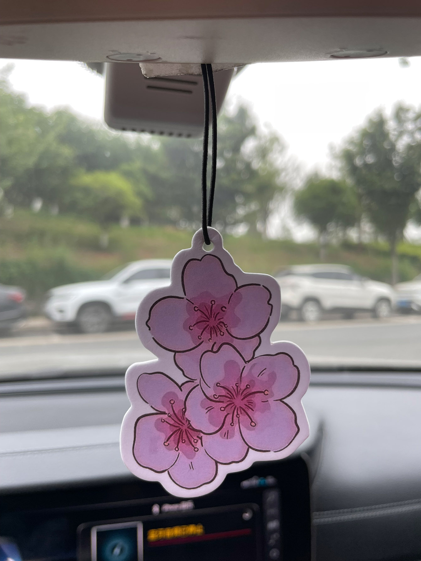 น้ำหอมปรับอากาศในรถยนต์กลิ่นซา - Home Fragrance Best บทวิจารณ์และราคา